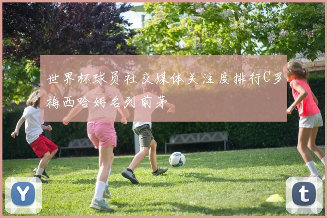 世界杯球员社交媒体关注度排行C罗梅西哈姆名列前茅